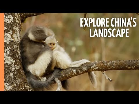 Wild Yunnan - Explore China's Breathtaking Landscape | Full Documentary