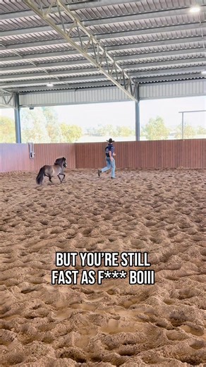Proof that size doesn’t matter… Especially if you’re @australian_cowboy running for your life 🏃‍♂️ | Ringers Western