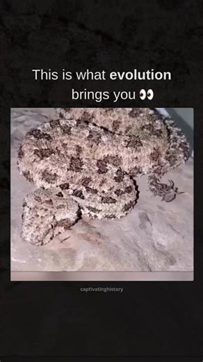 This is what evolution brings you 👀