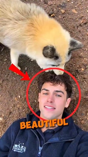 His Fox Had Other Plans 😂 #shorts (@kylethomas/IG)