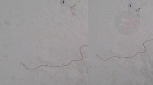 188K views · 6K reactions | #Watch Please avoid eating snow; a live snow snake has been found in Boniyar, Baramulla. | TIMES 4 JK | Facebook