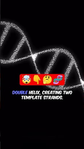 DNA Replication in Eukaryotic Cells full Process from Origin to Telomeres #Biochemistry #genetics
