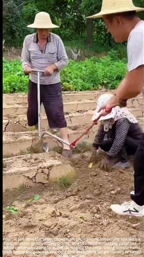 3-Person Potato Digging Team! 🥔👥
