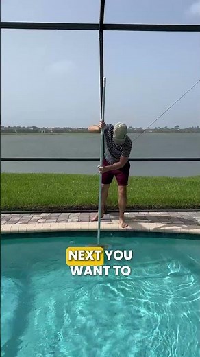 Get Rid of These Bugs in Your Pool FAST 🪳🚫