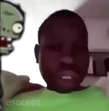 PVZ The Zombies Are Coming Meme