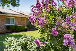 Living in the South Visalia Neighborhood of Visalia, CA