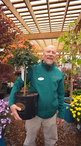 7K views · 92 reactions | It’s a new month - let’s see what’s...