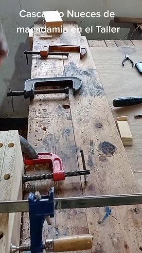 Cómo Cascando Nueces de Macadamia en el Taller