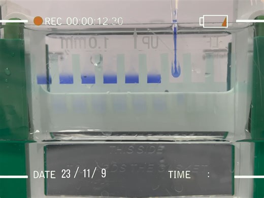 实验室日常|清爽的loading buffer让人看起来真的很赏心悦目
