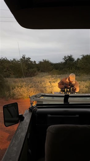 Sunset Game Dtive moments at 📍Raptor Retreat Game Lodge #gamedrive #queenli_travels #safari #lisa_sidell #creatorsearchinsights