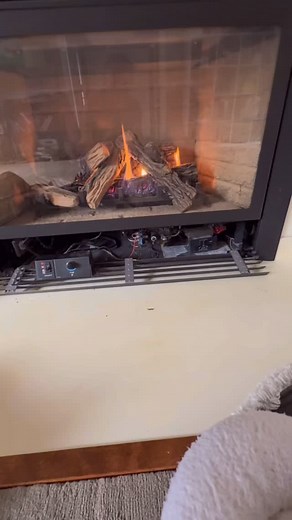 Tempest Optics 👀🤘 Excited 🥳 | Dave Norona