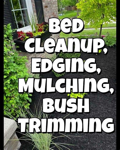 Spring Bed Cleanup, Edging, Mulching and Bush Trimming