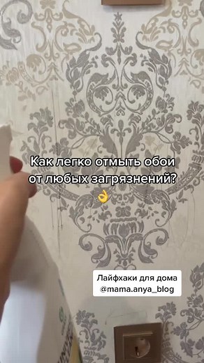 Easy Ways to Clean Wallpaper from Any Dirt: Tips for Home