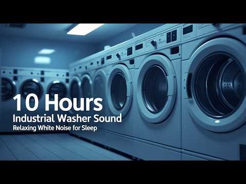 Industrial Washing Machine Sounds in Shared Laundry Room