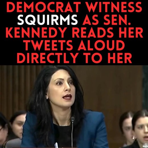 Absolutely flawless! | DC Swamp