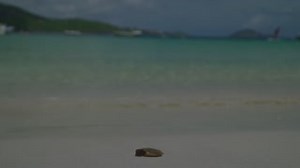 284K views · 1.3K reactions | This summer, we took a group of professional photographers and Adobe experts to the U.S. Virgin Islands, one year after the devastating 2017 hurricanes. Working with local students, we showed how telling a story through photography, especially on your mobile phone, can be accessible to anyone. See more from our photographers here: https://adobe.ly/2nTzZ7Q | Adobe Lightroom | Facebook