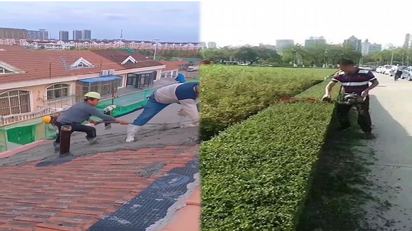 Mesmerizing Skills and Tools That Amaze Every Time