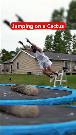 Belly Flopping on a 6 Foot Cactus… #funny #experiment #fail