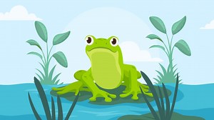 Free stock video - An animation of a organic flat frog illustration