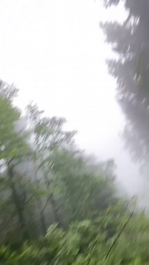 Part One. This footage can be seen on Mud Mountain Haulers, airing on #Discoverygo and #discoverychannel soon to air in the US. #Trucker #Logger #FYP