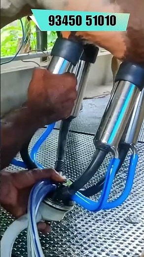 Maha Milking Machine – Compact, Powerful & Efficient Milking Solution for Dairy Farmers