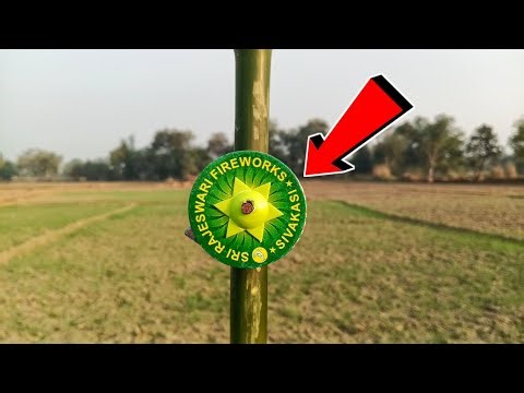 “We Put a Spinner on a Stick… What Happened Next? 😱🔥”