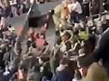 Hungary fans seen in scuffle with security during England match