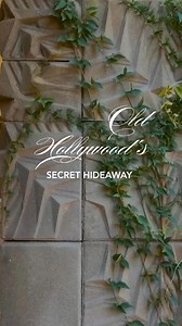 51K views · 55 reactions |  VIP Escape to The Iconic 푨풓풊풛풐풏풂...