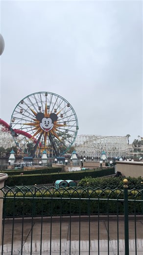 Valio Queso 🧀 🤣🤦🏽‍♂️ #disneylandcalifornia #fypシ #fyp