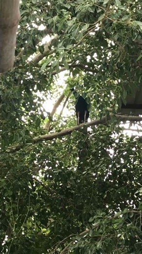 Unforgettable Moments ❤️ | The Best of My Life | Thangaraj Lifestyle Vlog