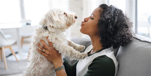 8 ways to get rid of pet smells