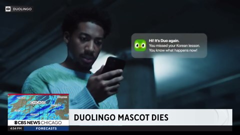 Death of Duolingo mascot Duo takes a new turn