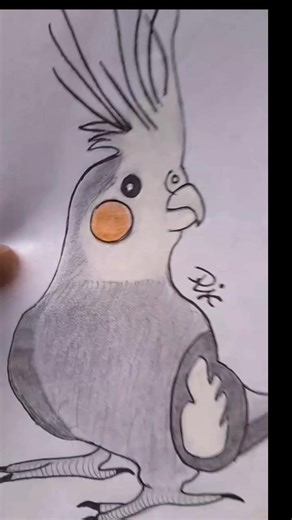 Beautiful cockatiel parrot Drawing🦜✨️ #ytshorts #drawing #colour #viral #easy #newyoutuber