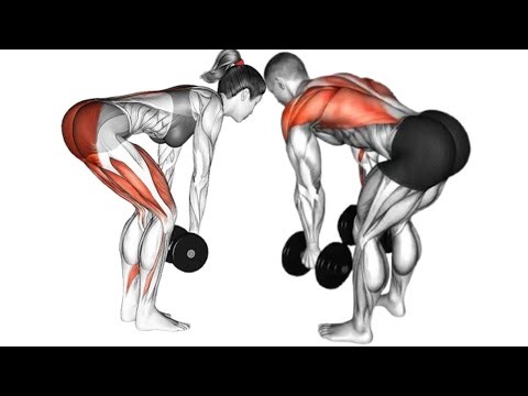 Hit Every Muscle Effectively | Full Body Dumbbell Workout