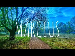 🇭🇺 Legjobb Magyar Zenék 2020 Március Válogatás