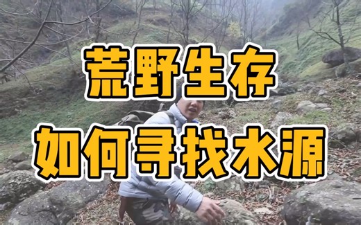 【炮炮兵】野外生存中，寻找水源的方法有哪些？