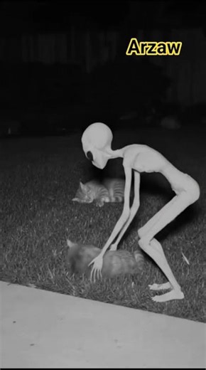 Real Alien Footage? Night Vision Camera Records Cat Taken!