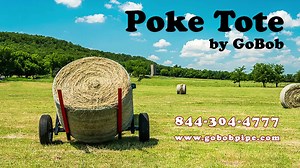 37K views · 64 reactions |...