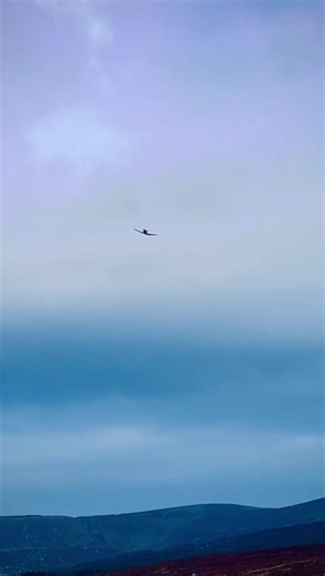 4.1K views · 230 reactions | Flying Training School. Wings Course:...