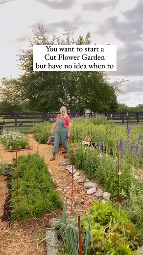 Kara Jamison | Cut 🌸 Garden Grower & Educator on Instagram: "Have you ever… Been so frustrated because you are looking at seed catalogs of all these gorgeous flowers but had no idea which ones bloomed together? You order all of these seeds but really have no idea when or how to plant them? You see people like me starting cut flower seeds in January and feel like you are missing out on some sorta of secret knowledge?! 🌱 This is exactly why I created a guide of my Seed Starting Schedule with 20 