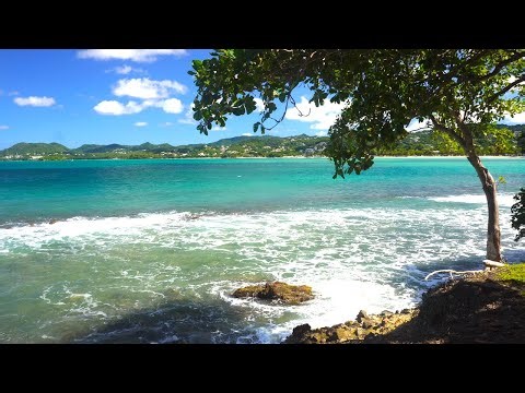 5hrs Of The Tropical And Relaxing Ocean Waves Sounds - Nature ASMR - 4K UHD