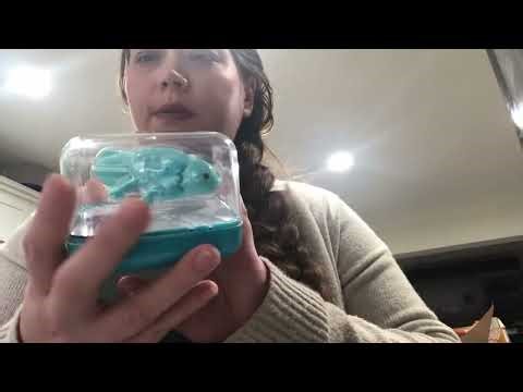 Not ready for a real axolotl? These are the next best option! Swimming axolotls in blue and pink!