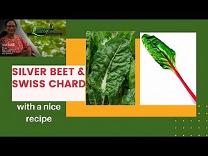 Silverbeet & Swiss Chard With A Nice Recipe