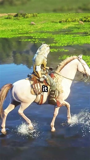 This Horse Does NOT Fear Anything