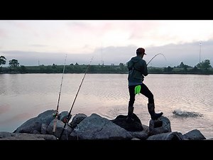 Catching Early Morning Catfish! (The Morning Bite)