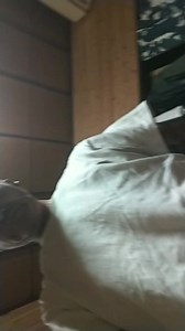 オリジナル楽曲 - user3516322362175を使っているuser3516322362175 (@user3516322362175)の動画