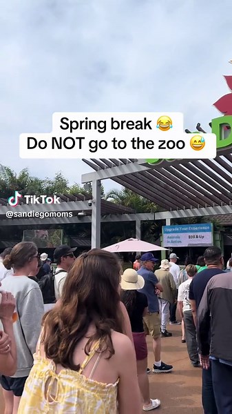 We thought it would be a fun day… but spring break crowds said otherwise 😅 Long lines, no parking, overstimulated toddler = lesson learned Save this so you don’t make the same mistake 🙃 Would you still go or skip? ⸻ #sandiegomoms #sandiegozoo #thingstodosd #momlife #toddlermom