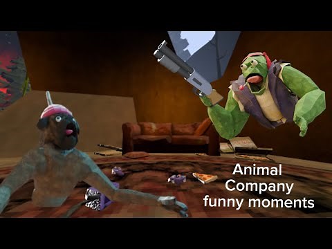 ANIMAL COMPANY FUNNY MOMENTS ‪@AnimalCompanyVR‬