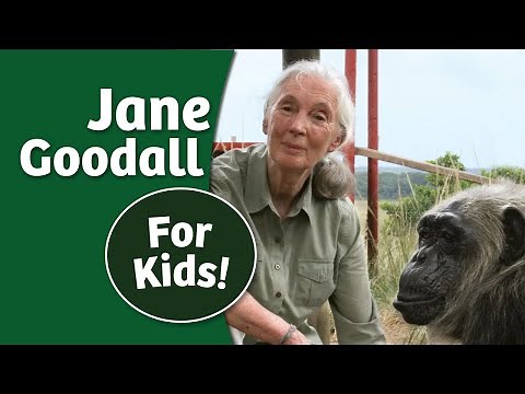 Jane Goodall Story for Kids | Women's History Made Easy