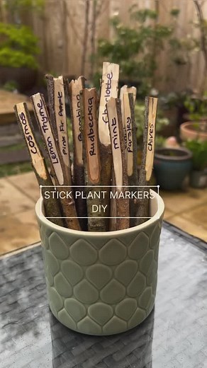 11K views · 626 reactions |  Make your own stick plant markers If...